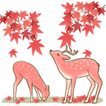 autumn-deer-color