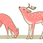 deer-color
