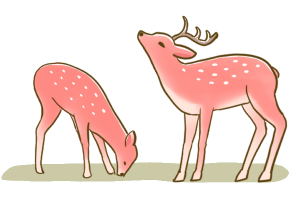 deer-color