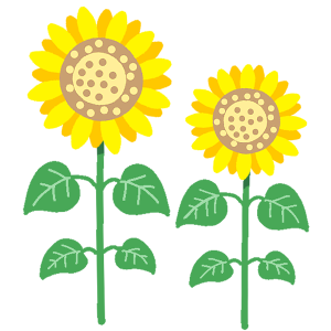 sunflower-color