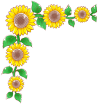 sunflower-left