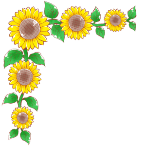 sunflower-left
