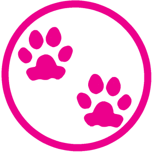 social-distance-footprints-amimai-cat-2