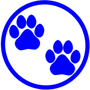 social-distance-footprints-amimai-dog-2