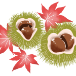 chestnut-autumn-momiji-color