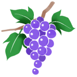 grape-color