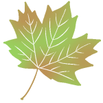 kaede-leaf-green