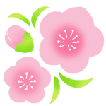 momo-flower-1-color