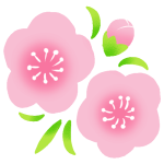 momo-flower-2-color