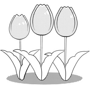 tulip-mono