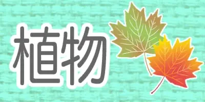 いろいろな植物のイラスト